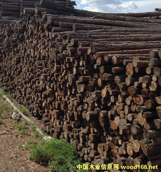 3m 4m ��ľ�U��Ԕ����B