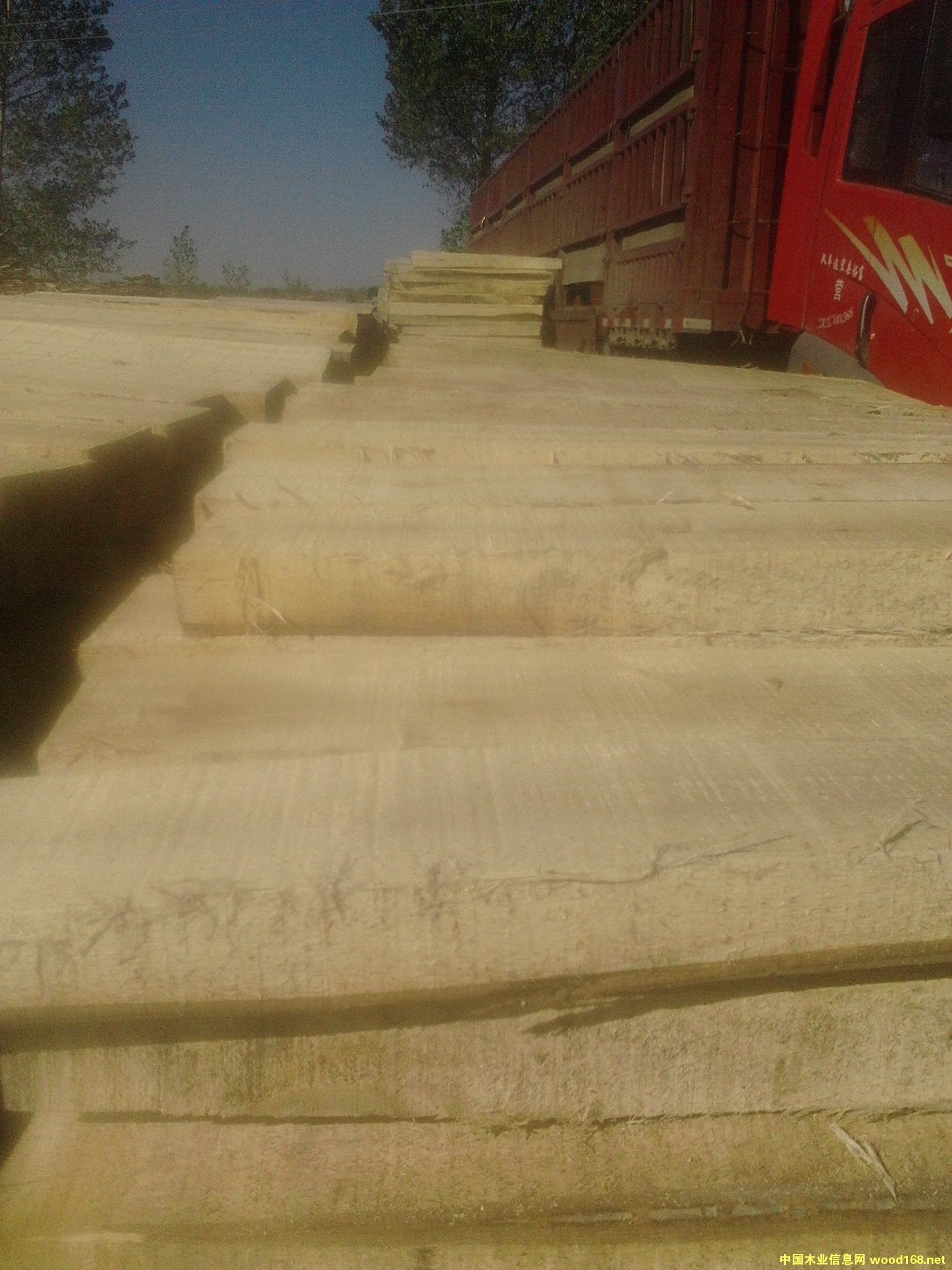 ��ľ��Ԕ����B