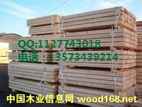 �z�ϰ� �бP(p��n)�î��ζ��Ӱ� �бP(p��n)���w���Ԕ��(x��)��B