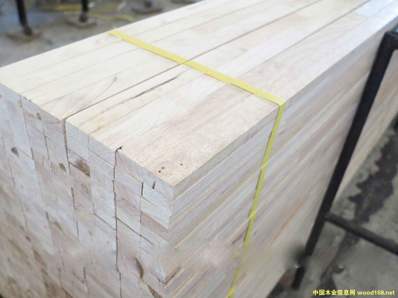 ���zľָ��ľ�l��Ԕ��(x��)��B