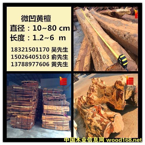 ΢���S̴��Ԕ����B