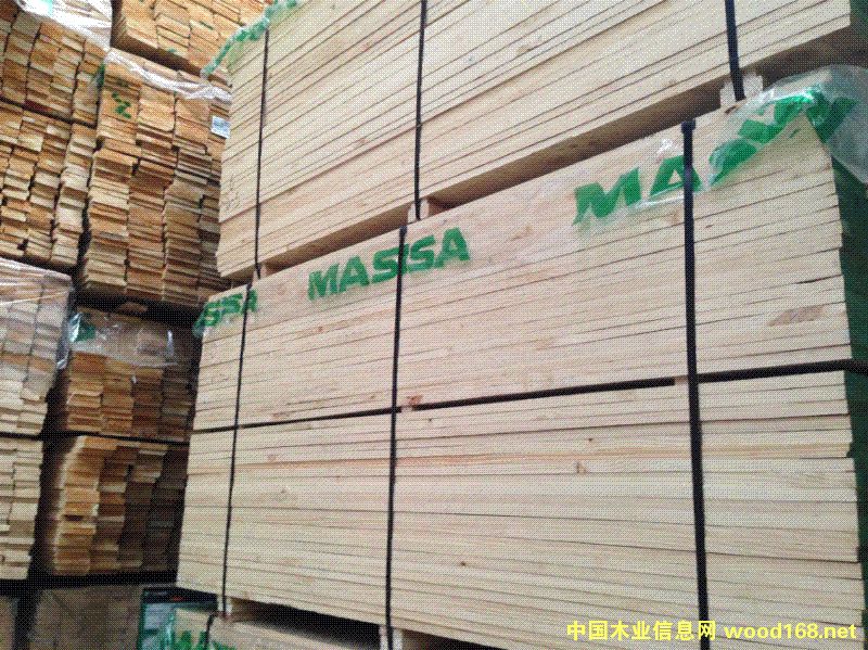 智利松的詳細介紹