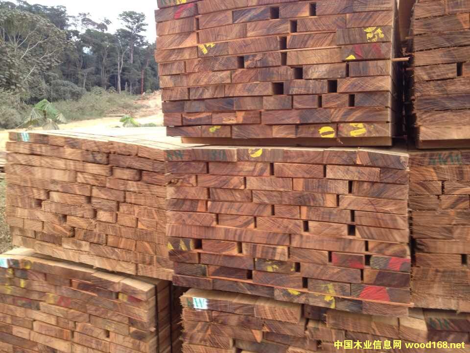 С���R ����ľ��Ԕ����B