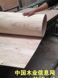 �������Ԕ��(x��)��B