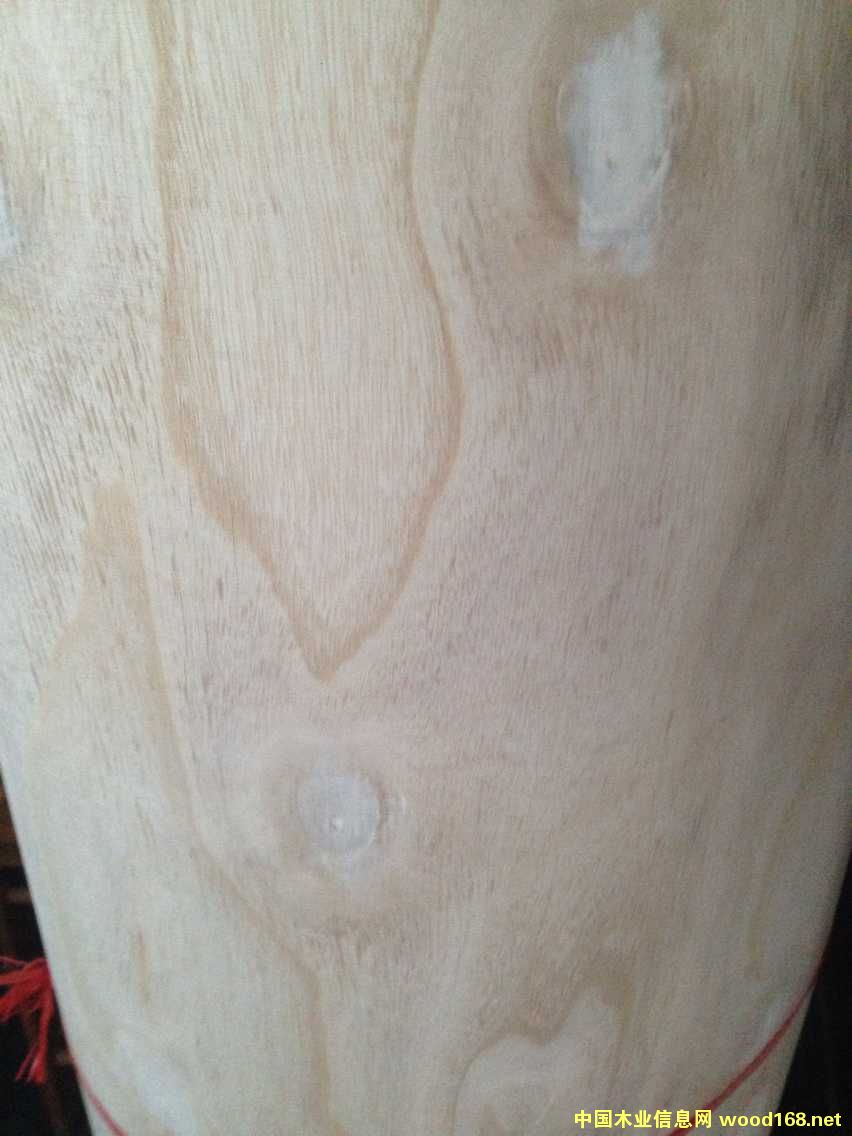 �������Ԕ��(x��)��B