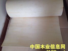 ��ľ�������Ԕ��(x��)��B