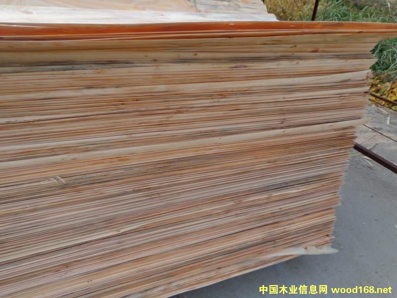 ݗ���ɊA��Ƥ�L�а�