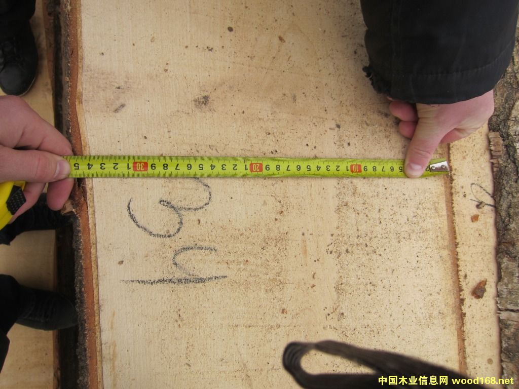 ��ľ���ë߅�ĵ�Ԕ����B