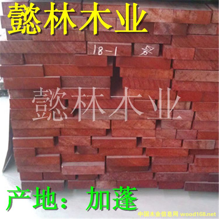 �M�ڷ��޼t����