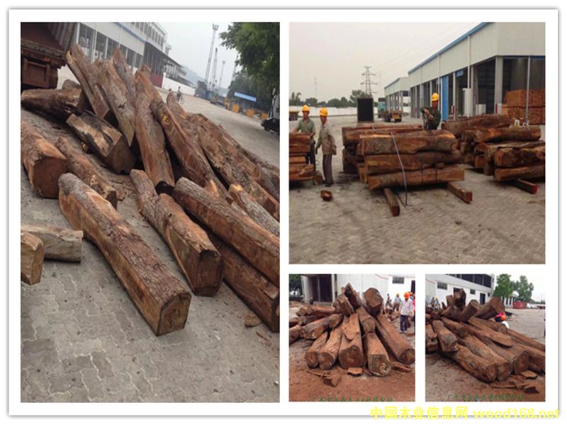 �����̴��Ԕ��(x��)��B