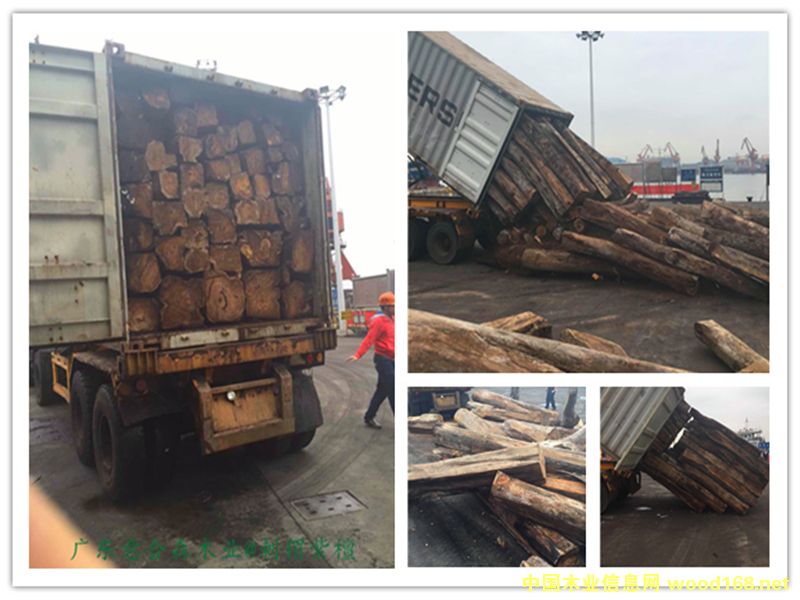 �����̴��Ԕ��(x��)��B