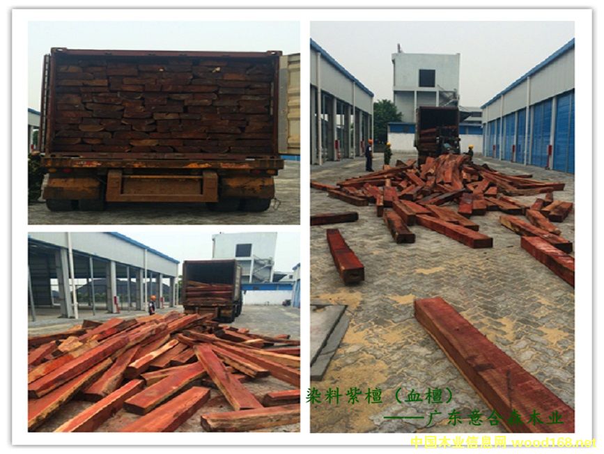 血檀的詳細(xì)介紹