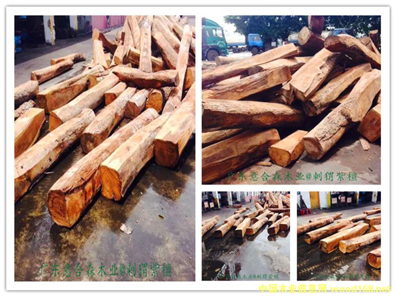 �����̴��Ԕ��(x��)��B