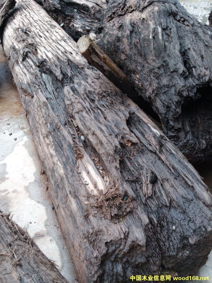 �c���鿴��ľ��骘�Ŵ�DƬ