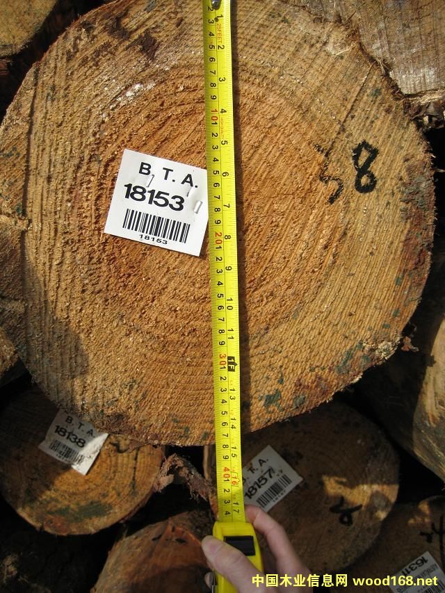 ݗ����ԭľ��Ԕ����B