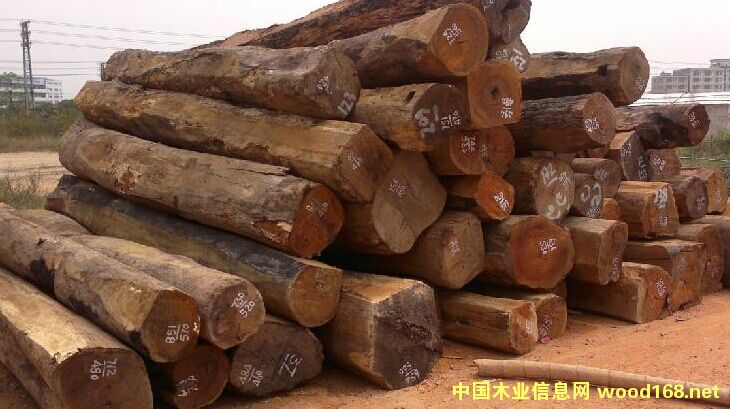 ���l�ϓ뻨��ԭľ