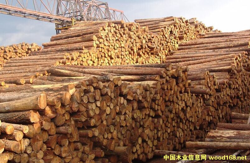 ���l������ͩľԭľ