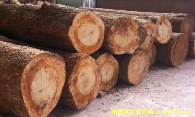 ���ۇ�����ͩľԭľ