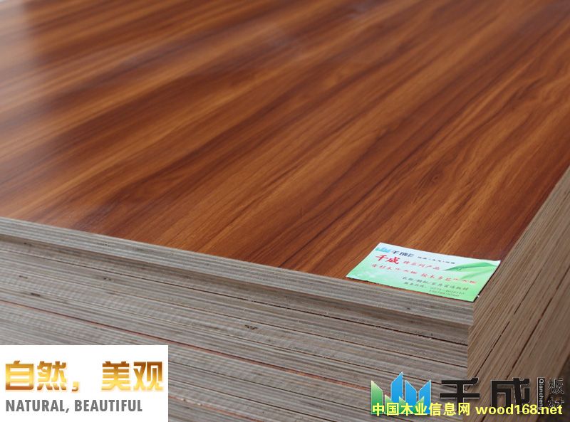 ����������B���Ԕ����B