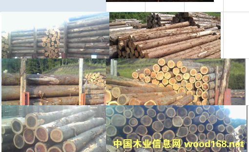 ɼľ��Ԕ����B