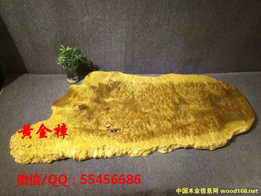 �S������P