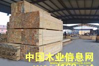 ���~�ɡ�����ľ����Ԕ����B