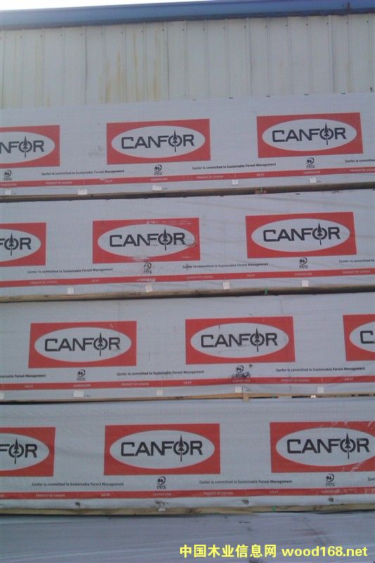 ���I����SPF���ϵ�Ԕ����B