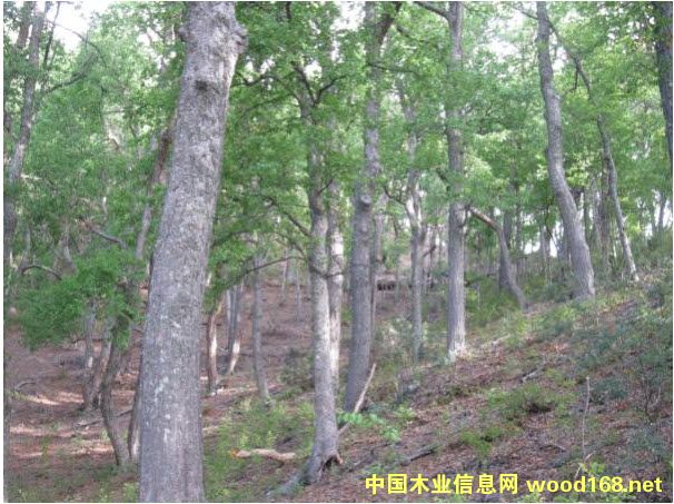 ��Ȼ��ľ�ֵ�Ԕ����B