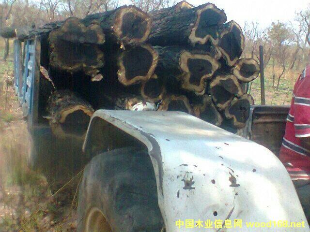 �Ӽ{��̴��Ԕ����B