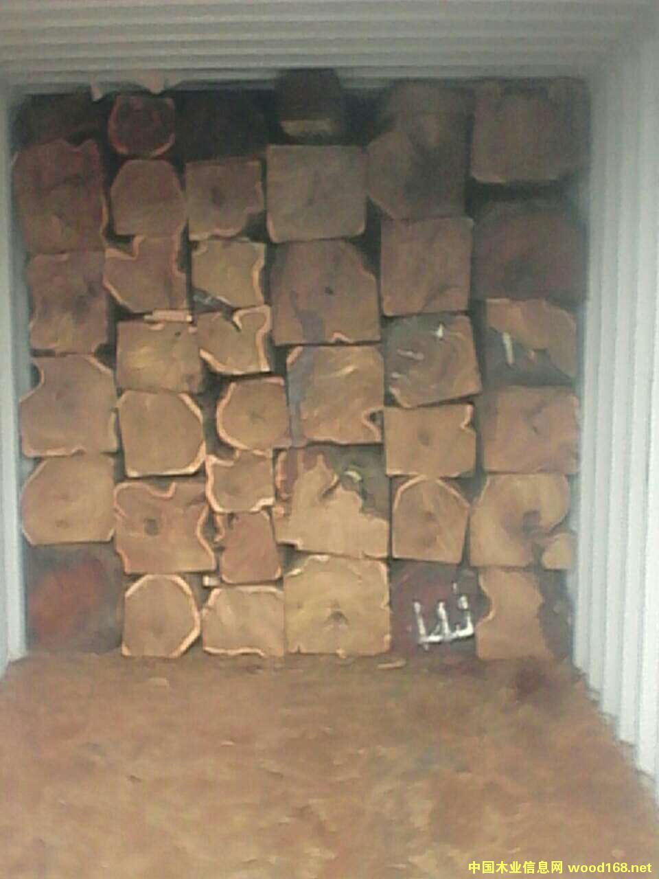 �����̴ROSEWOOD��Ԕ����B