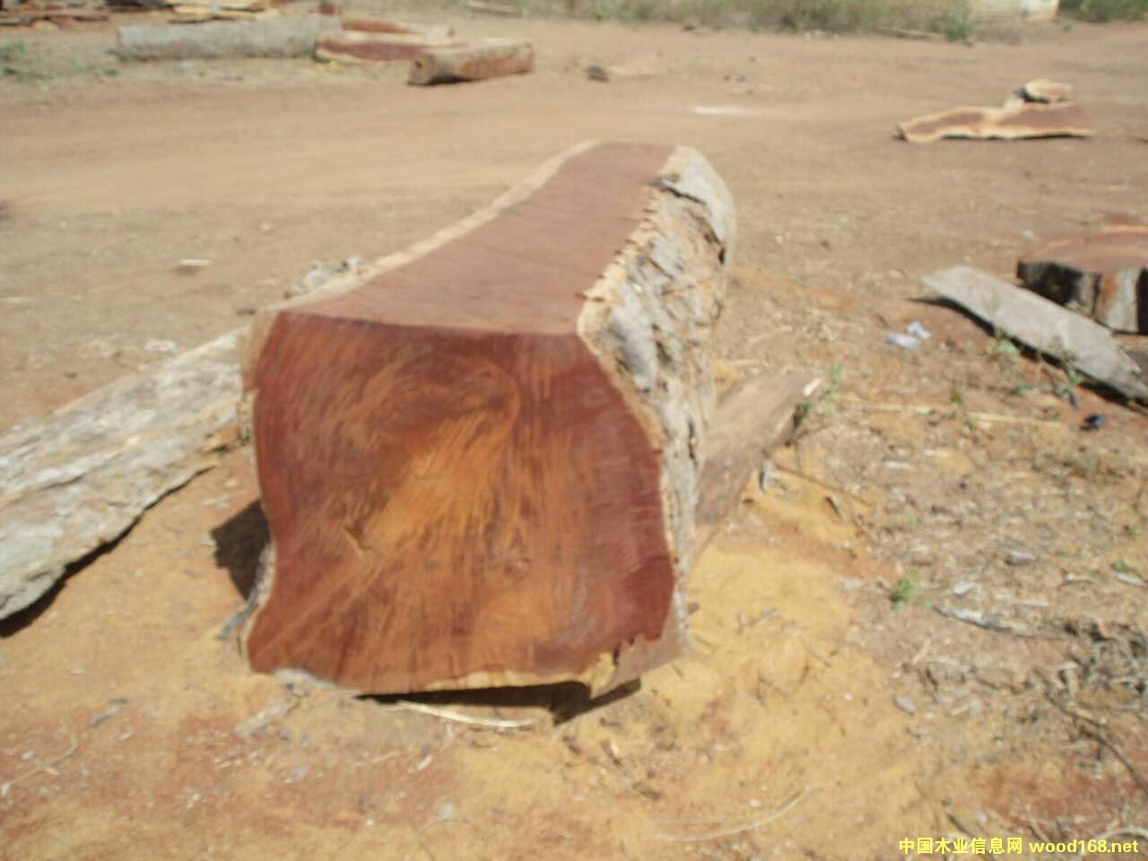 ������Ԕ����B