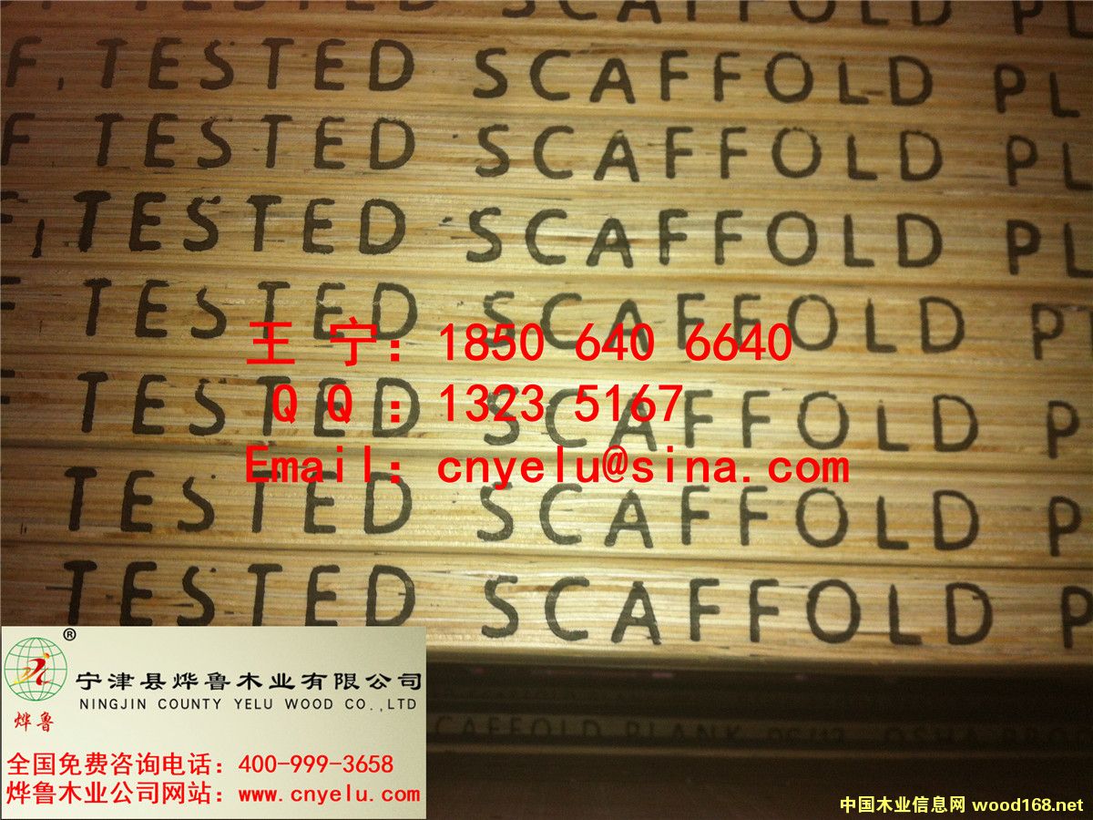 �c���鿴��ľ�_̤��Ŵ�DƬ