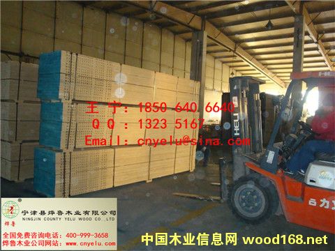 �c���鿴���b��Ŵ�DƬ