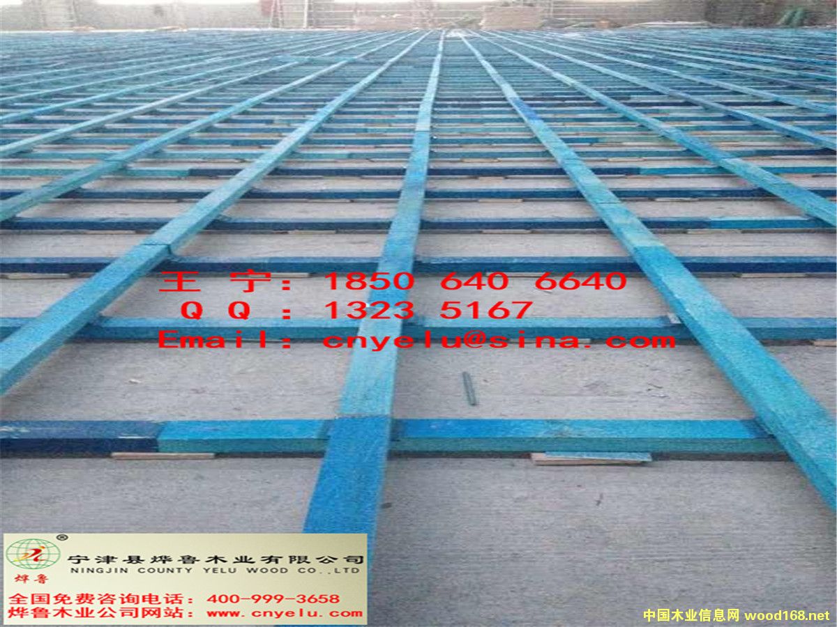 �c���鿴ľ���ǷŴ�DƬ