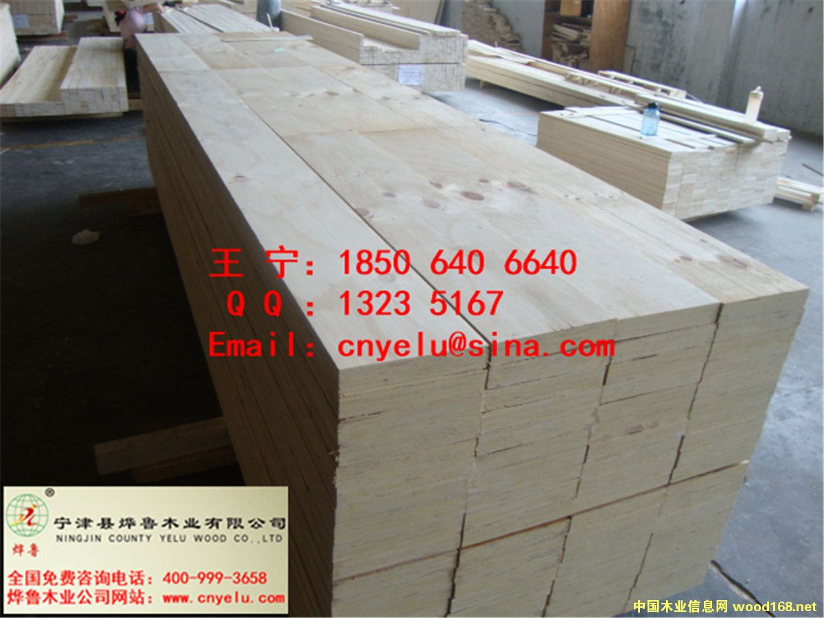 �c���鿴LVLľ���Ŵ�DƬ