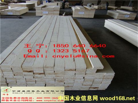 �c���鿴���Ӱ�Ŵ�DƬ