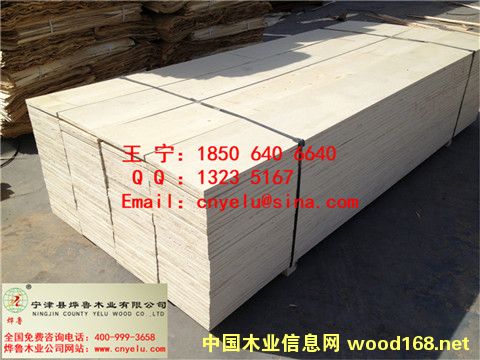 �c���鿴��Ѭ��ľ���Ŵ�DƬ