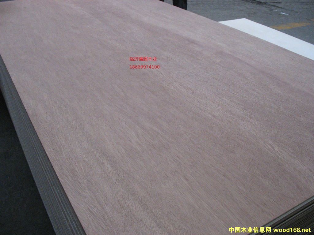 �c���鿴���ǹ� �z�ϰ� 18mm�Ŵ�DƬ