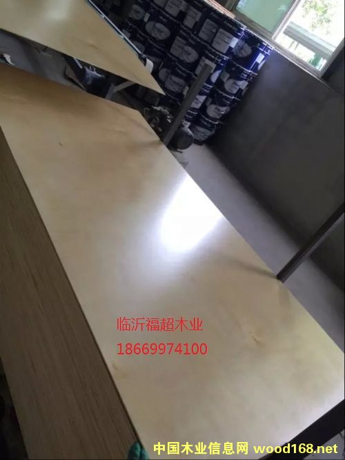 �c���鿴��ľUV��5mm�Ŵ�DƬ