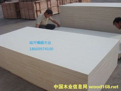 �c���鿴Ư�ח�ľ �z�ϰ� 12mm�Ŵ�DƬ