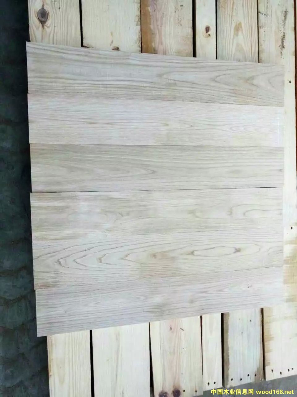 ��ľ�ذ�����