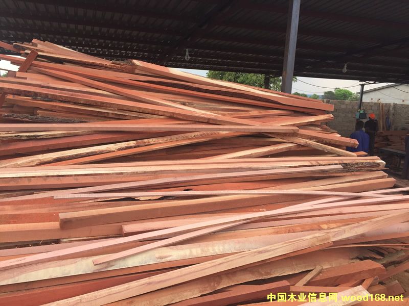 ZAMWINA �ͻ��U�ϵ�Ԕ����B