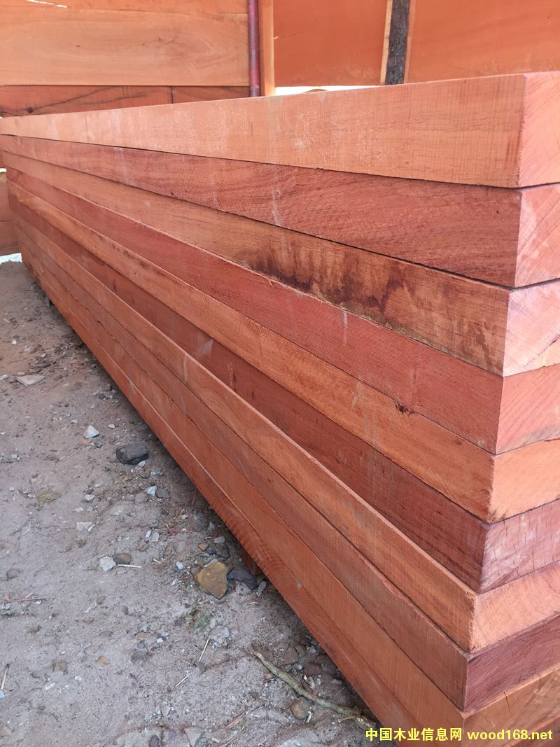 ZAMWINA �ͻ���ĵ�Ԕ����B