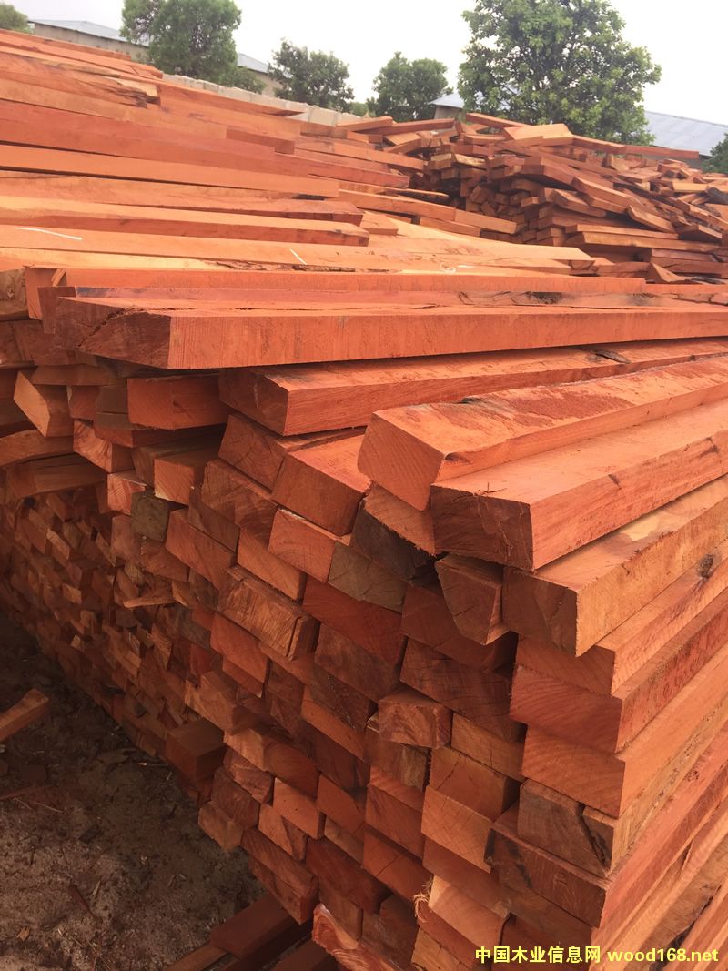 ZAMWINA �ͻ��U�ϵ�Ԕ����B