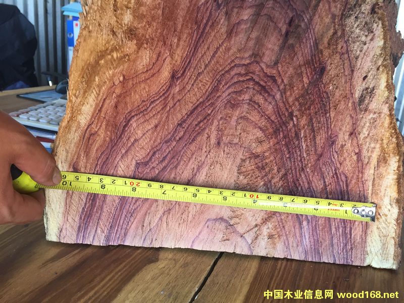 ZAMWINA ���Rľ��Ԕ����B