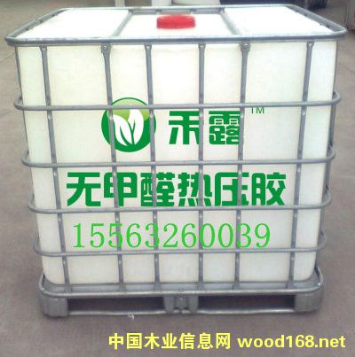 �󶹟oȩ�z��Ԕ��(x��)��B