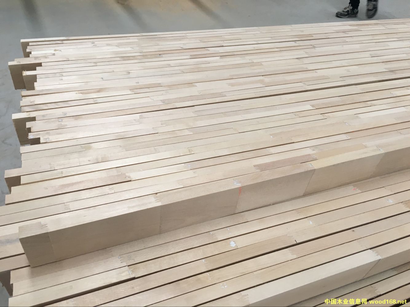 ��ľָ�ӗl��Ԕ����B