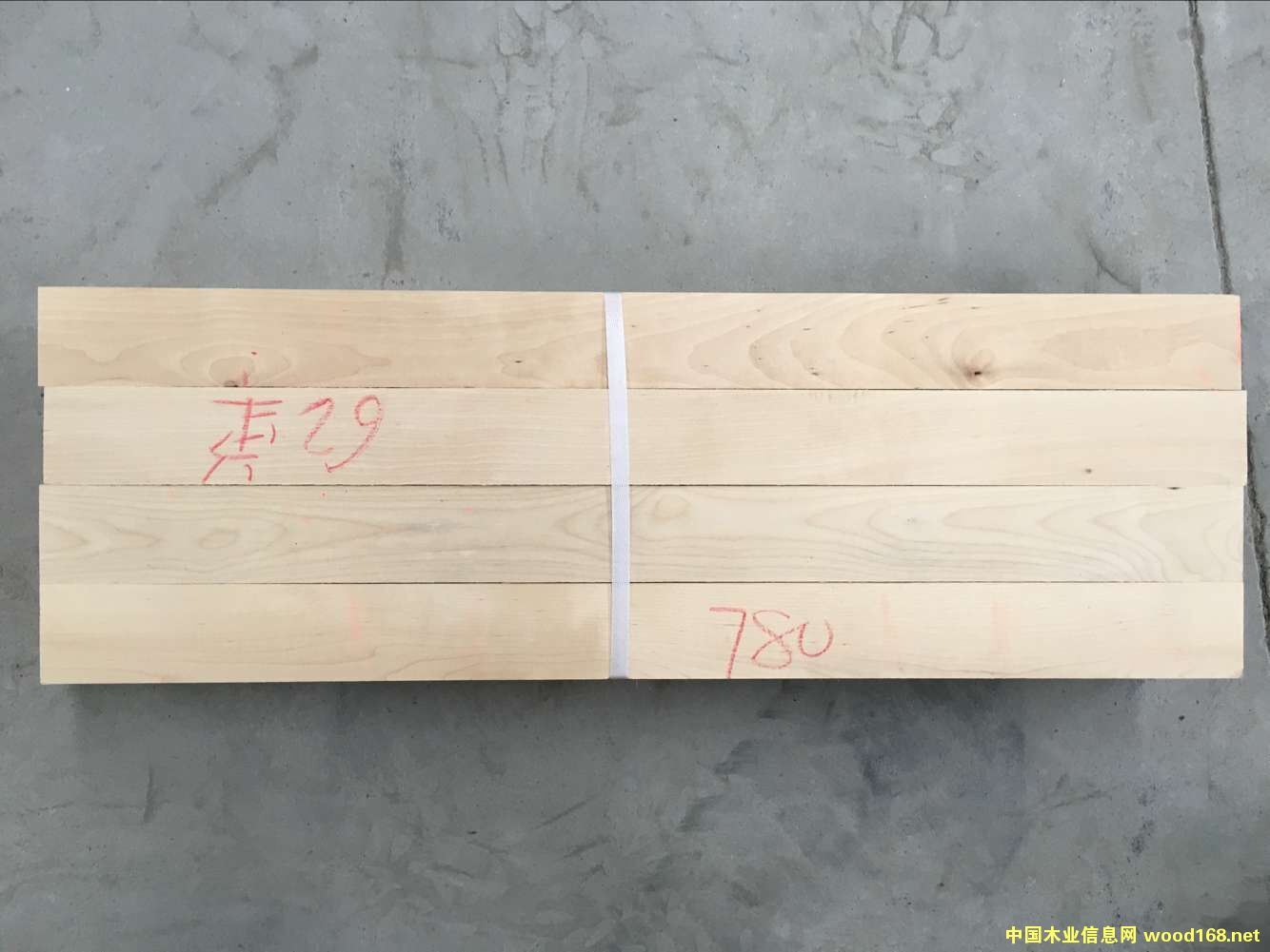 �ט�ľ�ٹ��