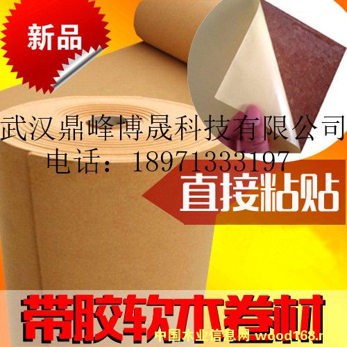 ���zܛľ��Ԕ����B