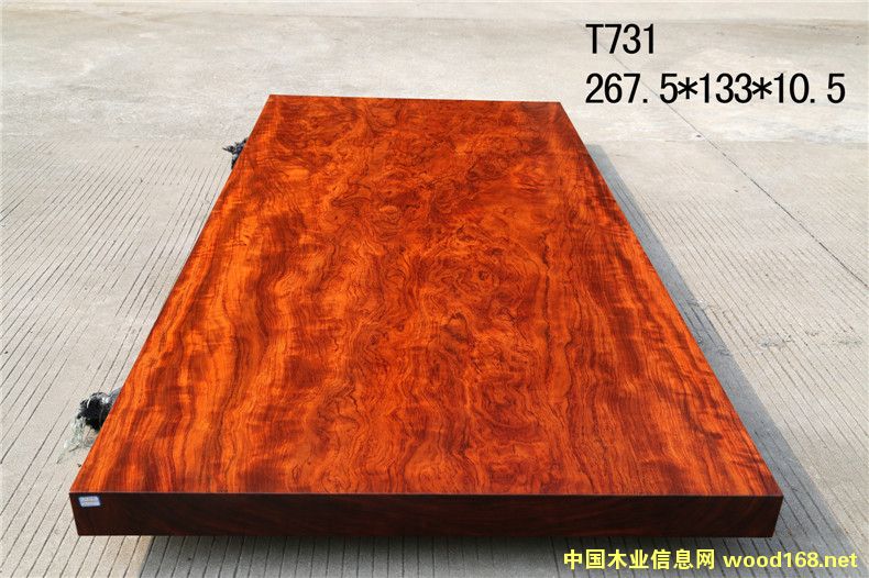 巴花的詳細介紹